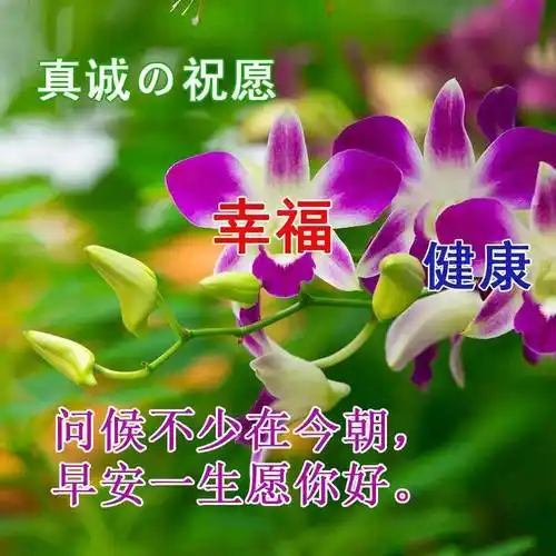 清晨早安祝福语漂亮图片动态表情,早安问候祝福语短信表情图片_生活