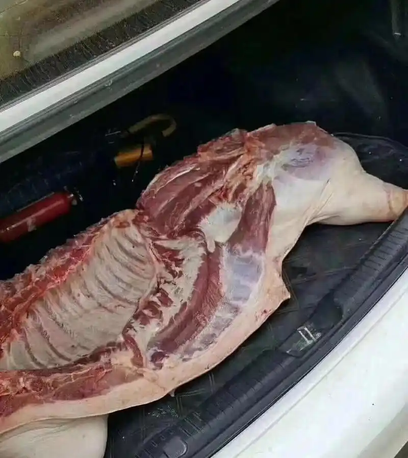 不知道为啥,今天又在路边捡到半扇猪,加餐了!