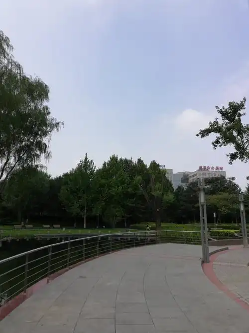 赞阳光星期八公园