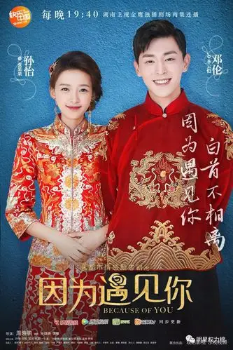 2017年国产电视剧收视率排行前十名出炉!