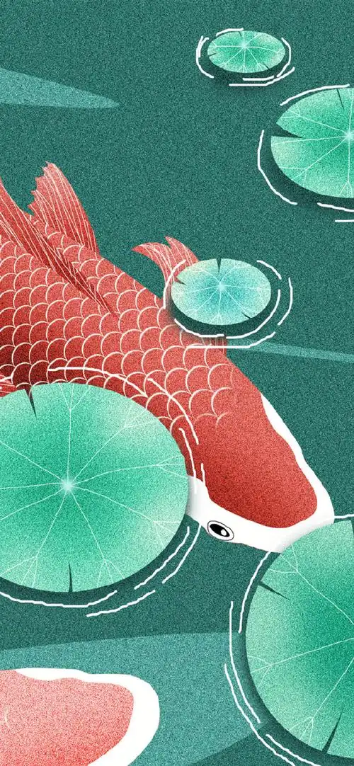 锦鲤##手绘##手机壁纸无水印