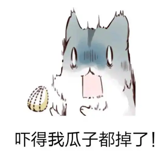 吓得我瓜子都掉了!