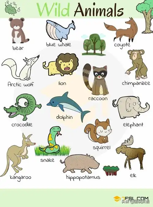 (2)按照词性分类学习词汇和词法