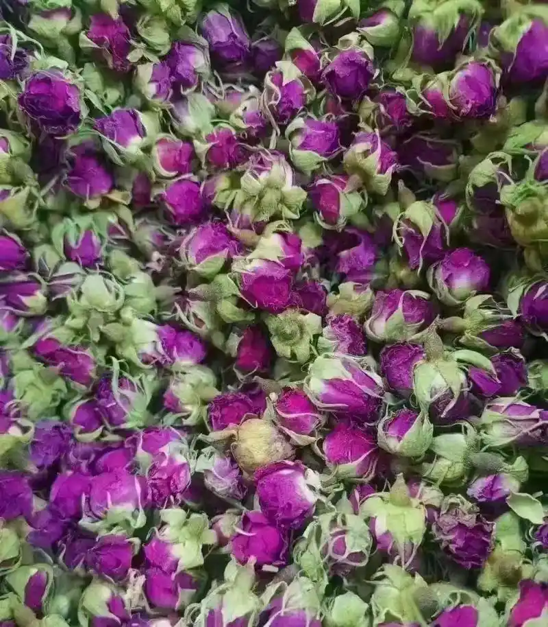 新疆和田玫瑰花