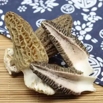 现货新鲜羊肚菌生鲜羊肚蘑菇500g菌菇火锅煲汤土特产食材 深灰色 1000