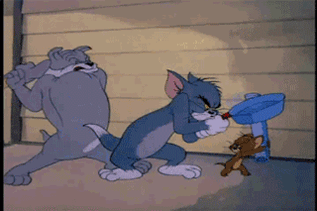 猫和老鼠猫鼠狗节奏gif动图_动态图_表情包下载_soogif