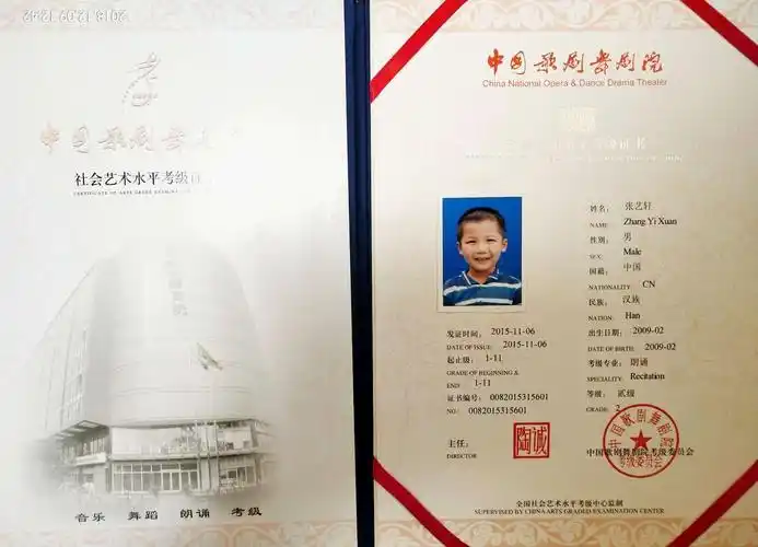 中国专业人才库管理中心,中国歌剧舞剧院考级,中国民族民间舞考抖