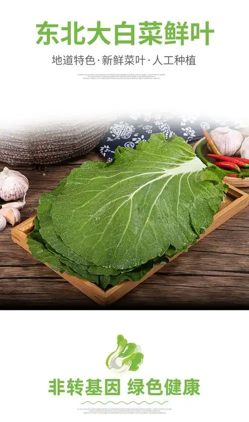 新鲜蔬菜饭包叶大白菜叶子饭包专用白菜叶60片