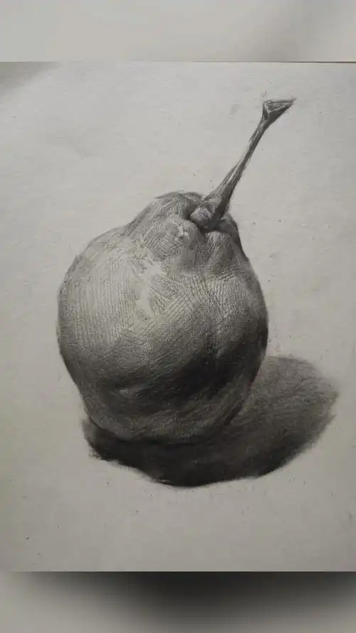 美术生#素描静物-梨