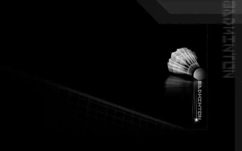 羽毛球电脑桌面壁纸