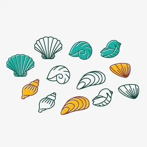 贝壳简笔画 贝壳简笔画儿童画