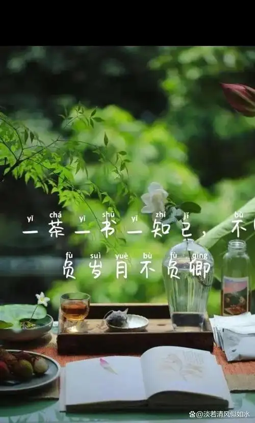 一人,一茶,一书,婉转如落花,渐行渐远渐天涯,蒙蒙烟雨书人生,红尘路