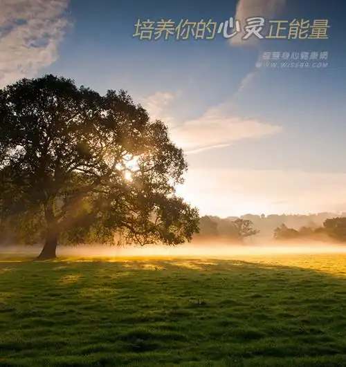 心灵能量手册培养你的心灵正能量