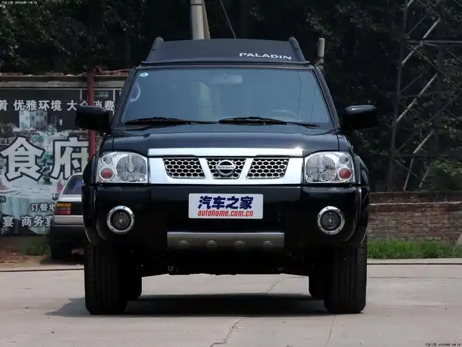 帕拉丁的外观魅力源自何处?