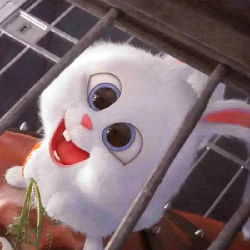 兔兔这么可爱 #电影 #爱宠大机密 不信你没看过02 - 抖音