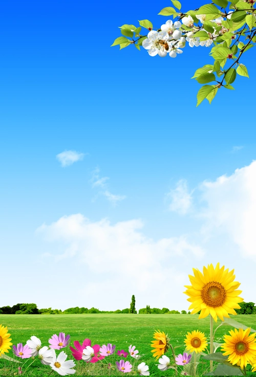 自然清新风景海报背景