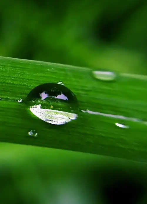 微观里最美小水滴