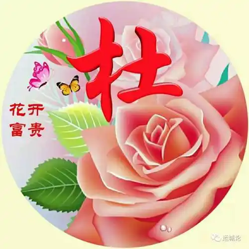 微信头像该换了60张不同姓氏专属于自己的别样美