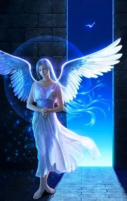 像天使一样飞翔