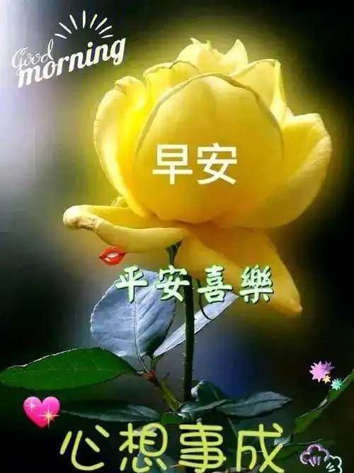 早晨安好珍惜生活的赐予珍惜当下的一切