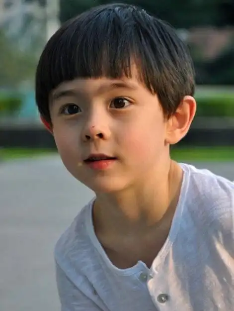 中美混血小帅哥网络走红被赞是林志颖尼坤结合体高清大图