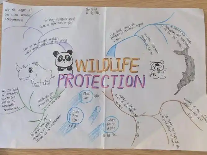 动物保护我们一起努力高一英语阅读节及思维导图绘制大赛