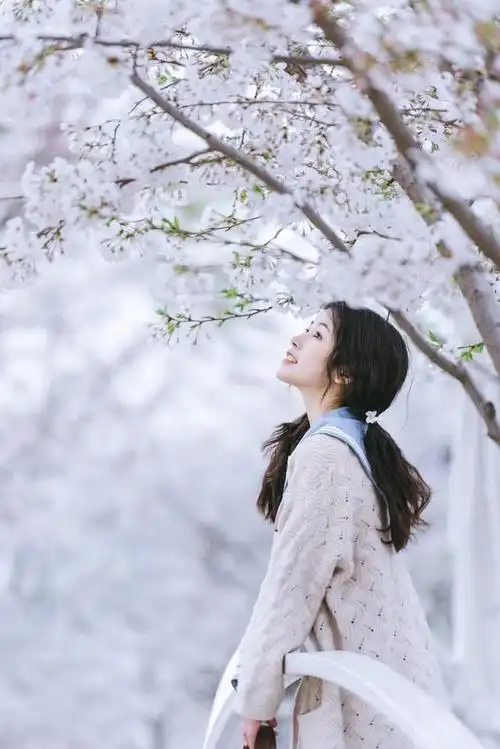 樱花树下的jk女孩,满满的初恋感