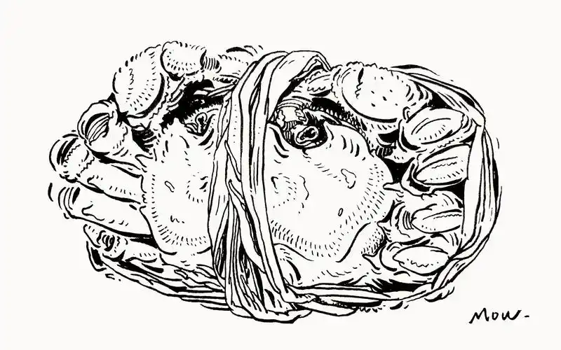 【速写/手绘】一只大闸蟹!蟹! "mow的生活速写"_哔哩哔哩_bilibili