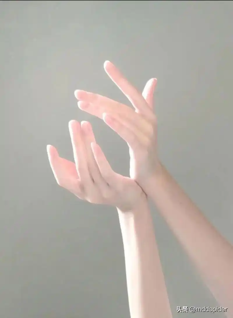 手控美丽的手指 不重复的手 唯美