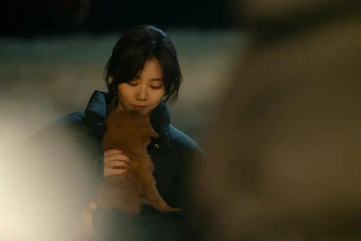 谭松韵 和可爱小狗贴贴#谭松韵和小狗随拍