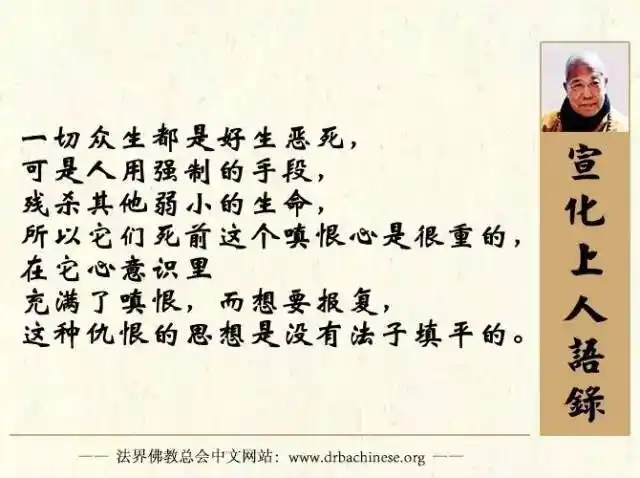 杀生因果难逃丨世界上最厉害的果报宣化上人