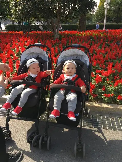 我家双胞胎宝宝一周岁了