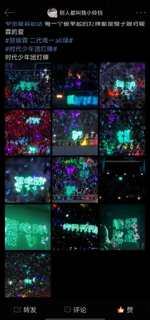 贺峻霖 二代唯一all绿##贺峻霖官方认证二代唯一all绿应援色