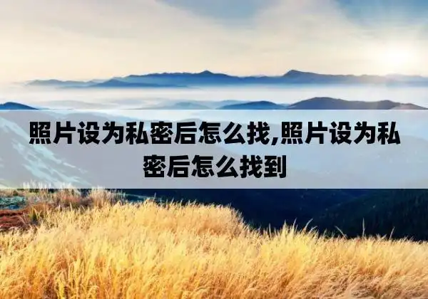 照片设为私密后怎么找,照片设为私密后怎么找到 第1张