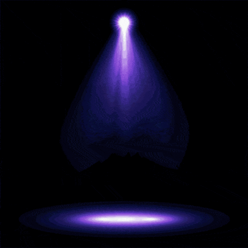 【金至尊】天后kelly闪耀回归,音乐盛宴即将来袭!