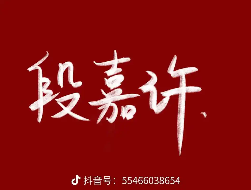 段嘉许生日快乐#偷偷藏不住#段嘉许#小说 #流量 #二次元男 - 抖音