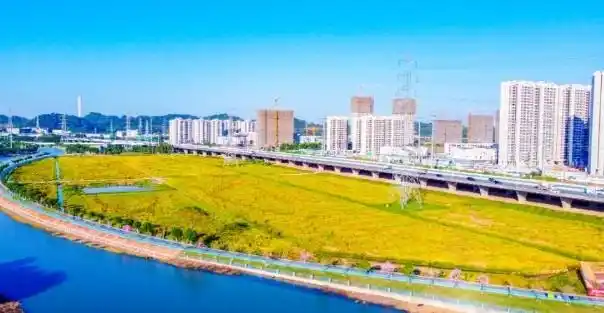 禾田水韵,钟灵毓秀!广州番禺钟村街新乡村示范带魅力起舞