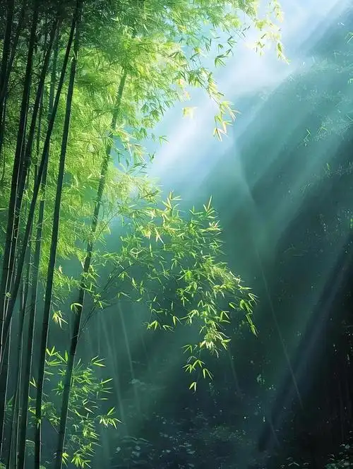 东岩富松竹,岁暮幸同归.33句描写竹林美景诗句,以疗愈浮躁心灵