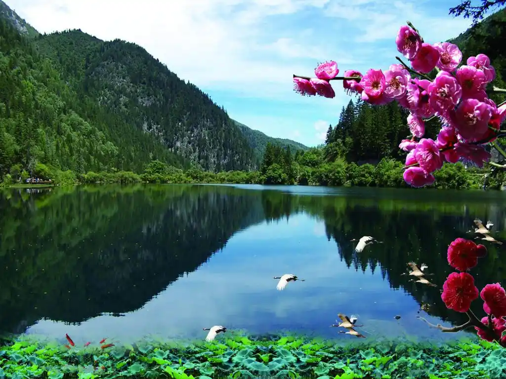 室内明白这4个摆放技巧,招财进宝,难怪有钱人都这样做