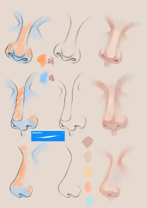 这个各角度鼻子绘画教程也太详细了吧
