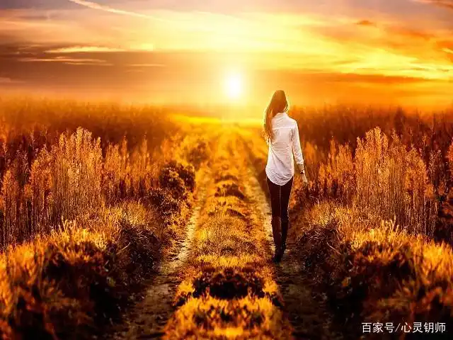 田野中行走的女人,背影悲伤孤独