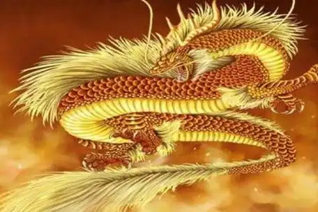 1976年属龙的吉祥数字(1976年属龙人吉祥数字)-星座时间-sport户外极