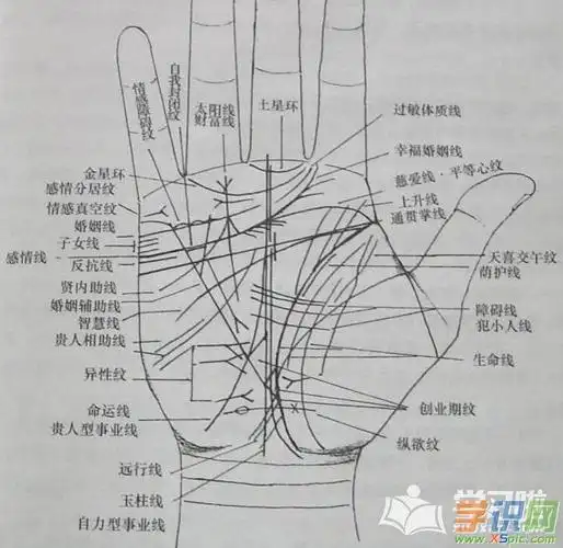 1十字纹 在手掌上由两条短短的纹路交叉而成,其吉凶意义根据所在的