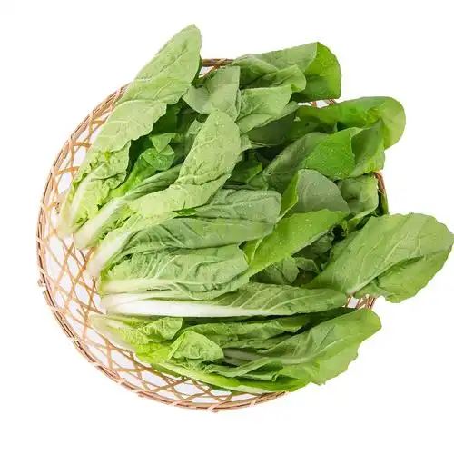 有机杭白菜300g【行情 报价 价格 评测 特价 折扣】-本来生活网