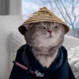 你为什么这么拽i头像