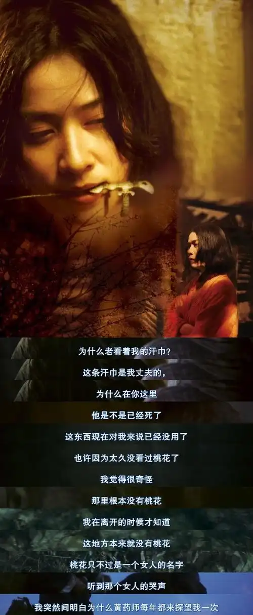 转电影东邪西毒台词全本