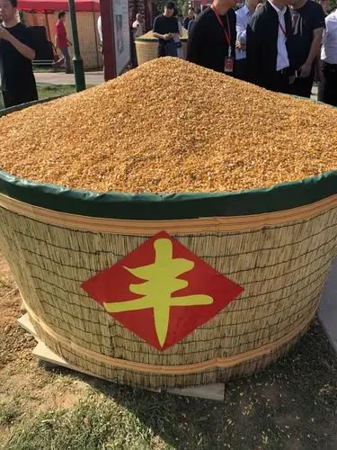 趣味拔花生比赛▲红枣小镇道路两旁,丰收粮囤里盛满了五谷杂粮,菜筐