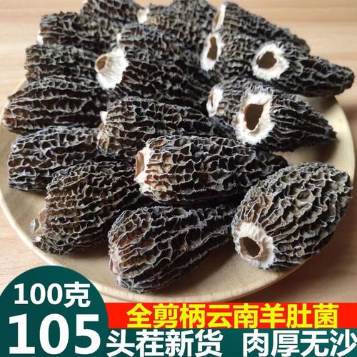 剪柄羊肚菌干货100g云南特产特级野生头茬新鲜羊肚菇菌菇煲汤材料