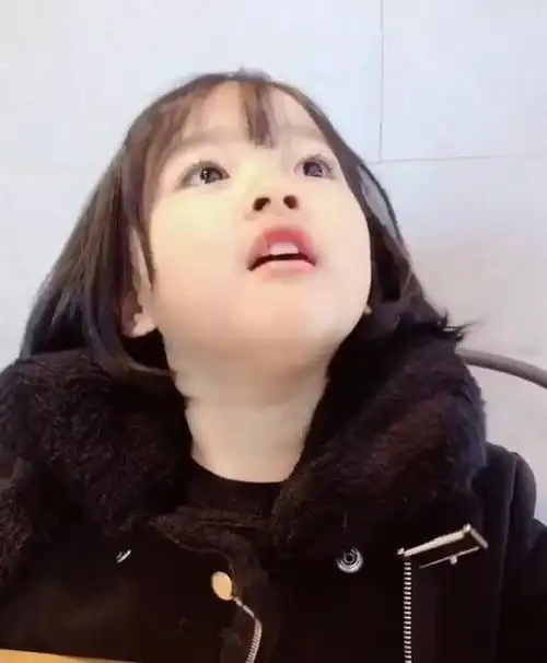 快来了解一下这个小可爱,权律二的头像超可爱(各种表情合集,高清无