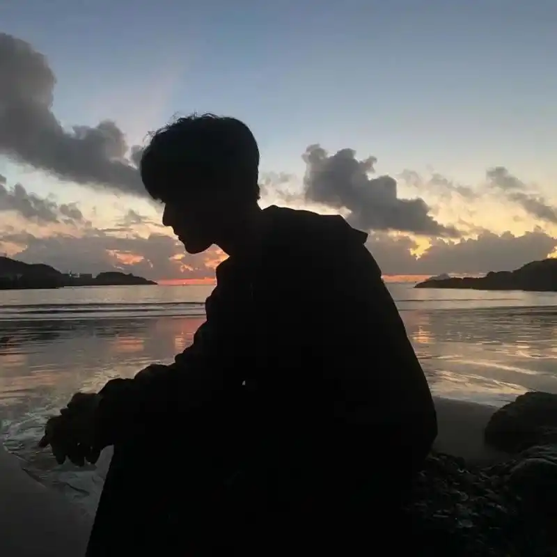 少年与捧花男生头像ins伤感孤独背影